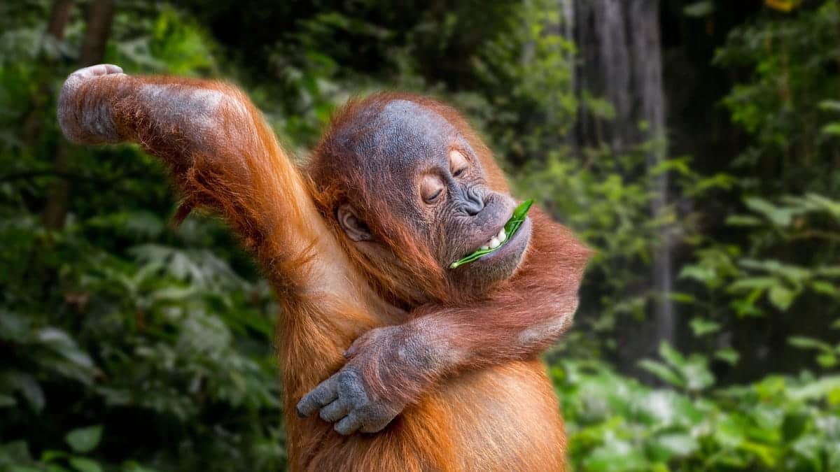 ¿Cuáles son los hábitos más asquerosos de tu pareja?