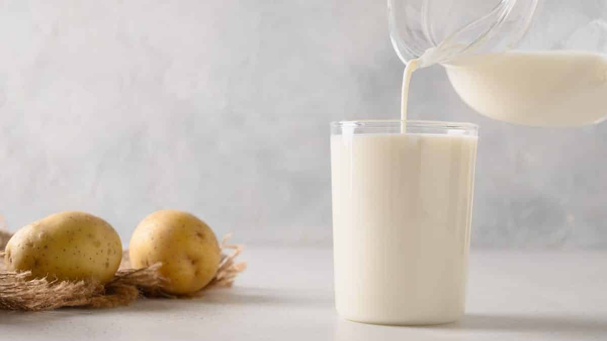¿Cómo se acumula la leche de patata, nutricionalmente?