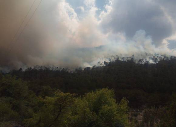 Incendio provoca cierre de circulación en Carbonera hacia Monclova; afecta autopista y carretera Monterrey a Saltillo