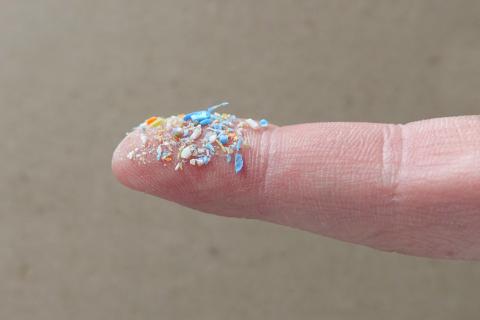 Confirman por primera vez la presencia de microplásticos en sangre humana