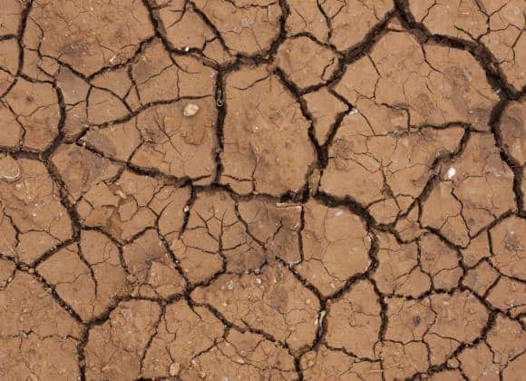 Sequia afecta cosechas y deja a campesinas de Oaxaca sin trabajo