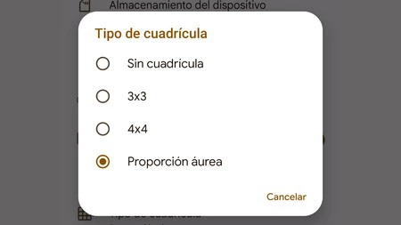 cuadricula