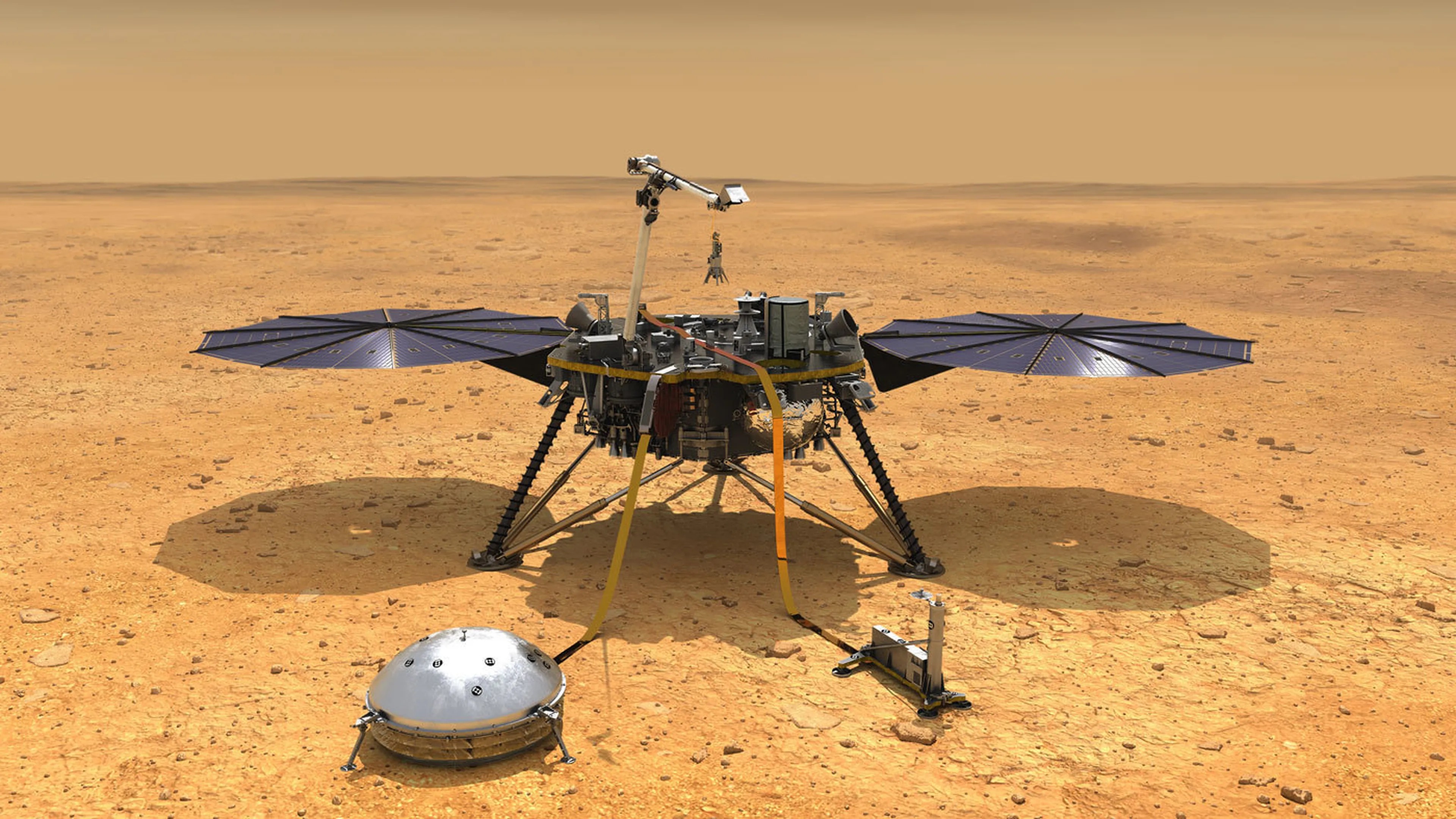 Rover Insight