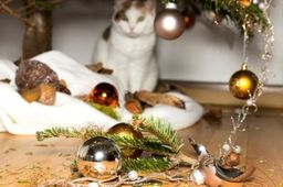 Consejos para que estas fiestas tu gato no destruya el árbol de Navidad