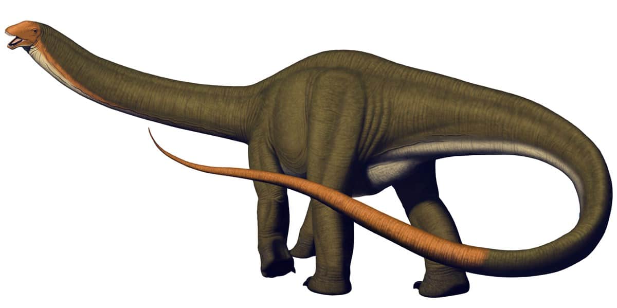 ¿Podría una cola de dinosaurio volverse supersónica?