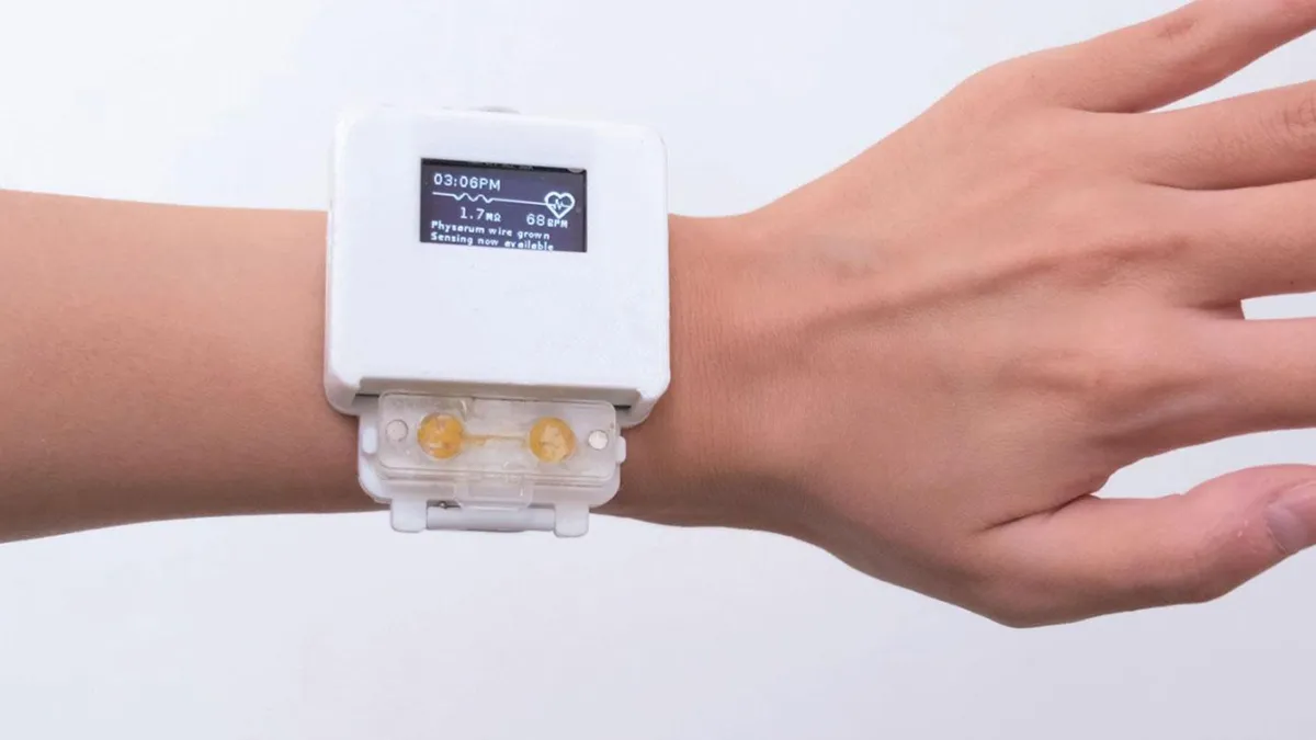 Crea un smartwatch extraño que contiene un organismo vivo