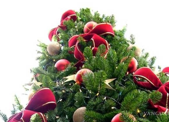 En Plaza Mayor de Torreón instalan Árbol Navideño a 15 metros