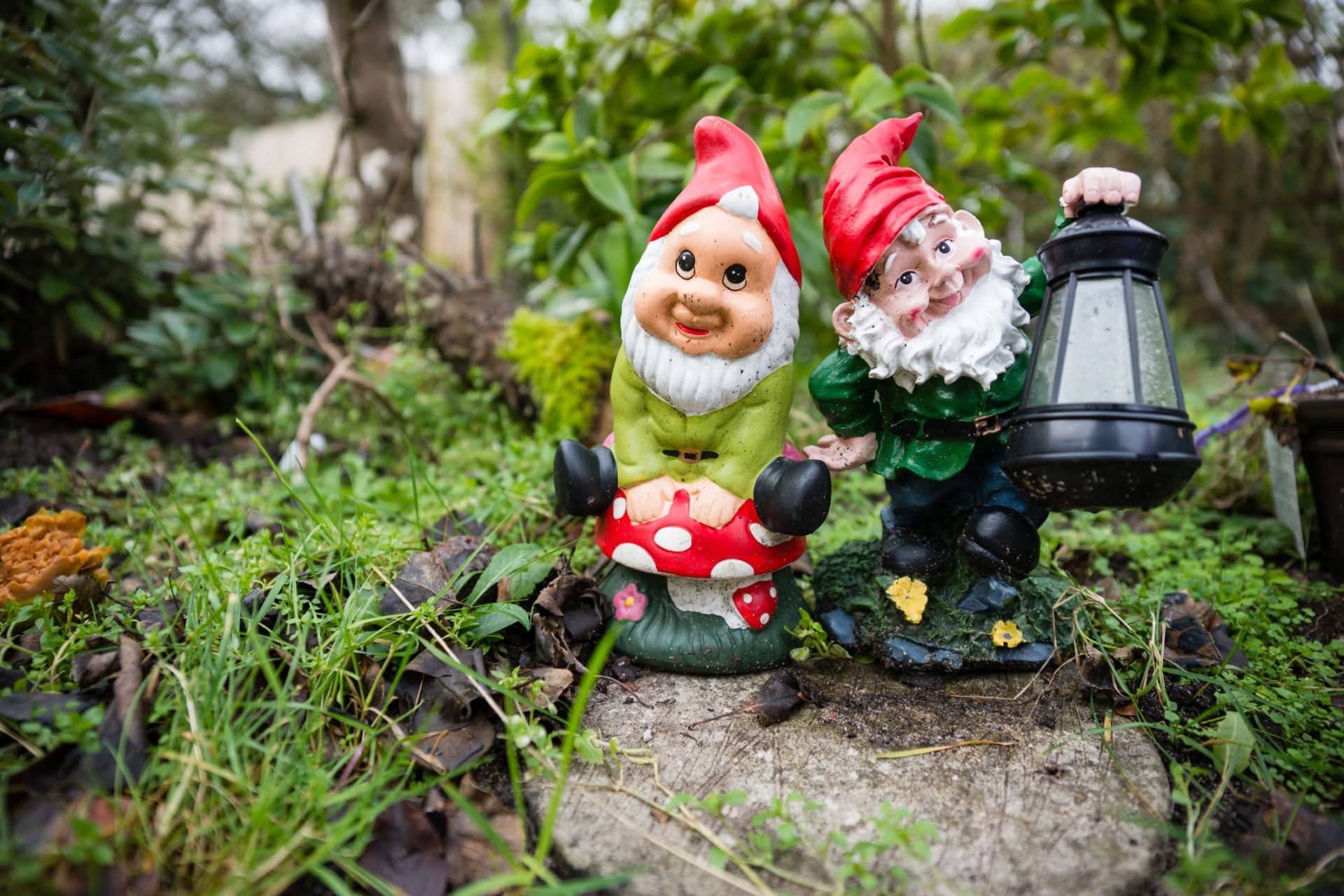 Racy meaning of gnome on front porch will make you think twice 1