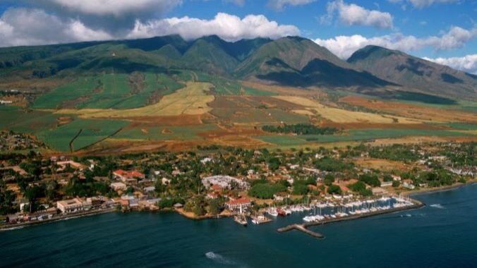 Maui Wildfires: How You Can Help