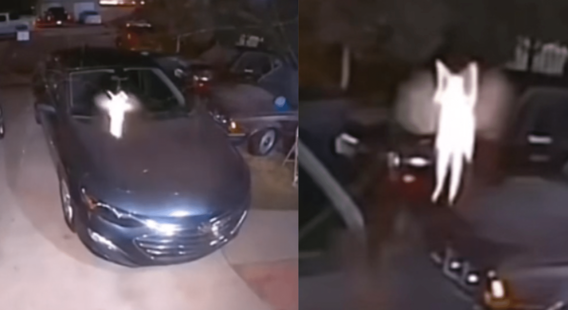 ‘Fairy’ caught on camera ‘definitely looks real’ to some TikTok users