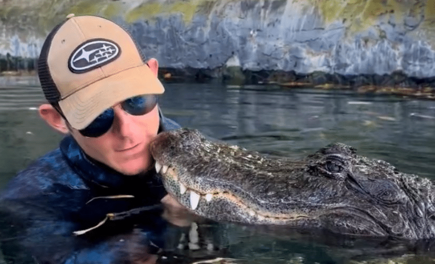 Florida alligator attacks its owner without hesitation in viral Instagram video