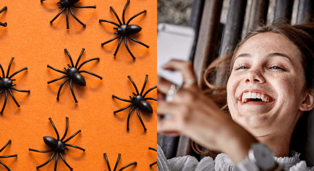 What do you call a spider with 10 eyes? Stupid joke is actually really clever