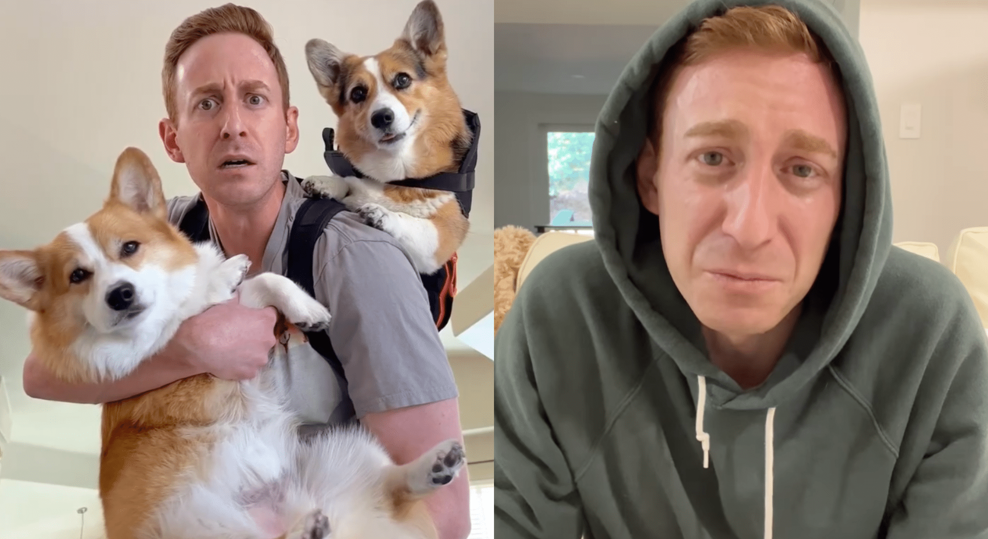 Hammy and Olivia deliver heart-breaking news about Olivia the Corgi in sobbing YouTube video