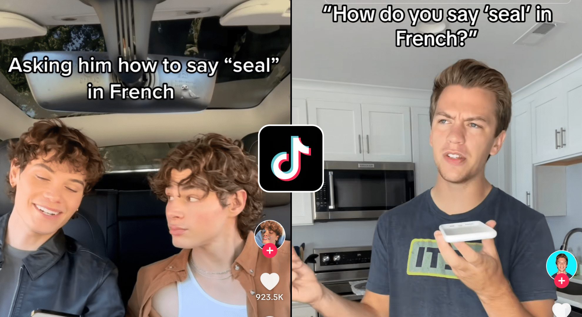 ‘How do you say seal in French’ prank cracks up social media