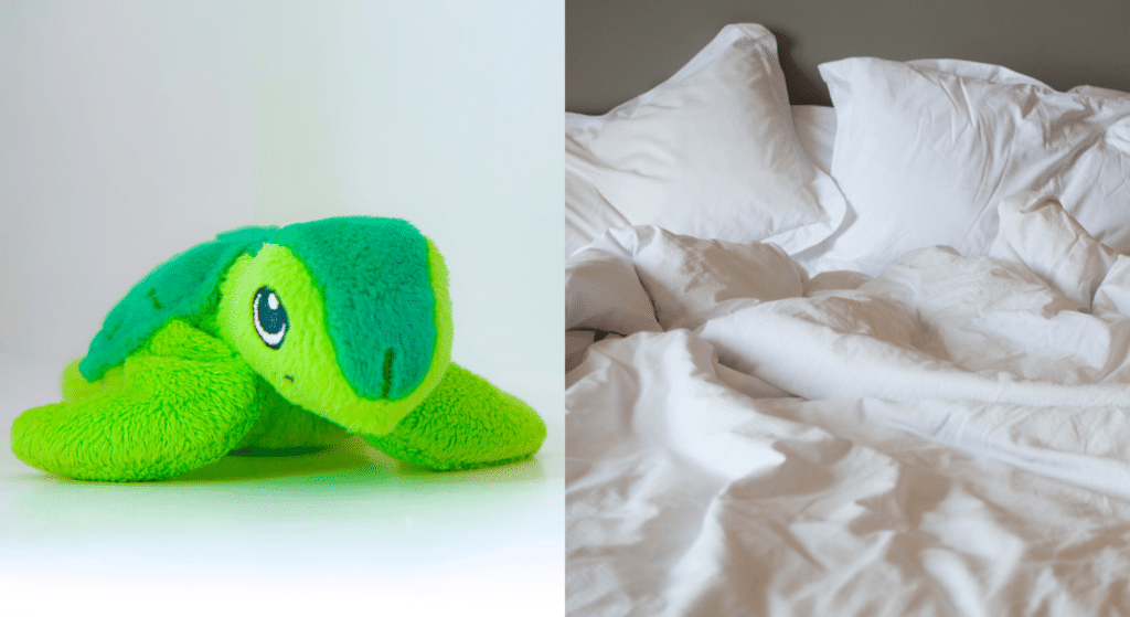 Adorable turtle bed where you sleep in the shell is TikTok’s latest obsession