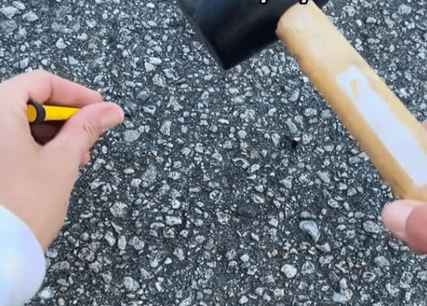 Woman finds a ‘shark tooth’ lodged into the concrete of her driveway