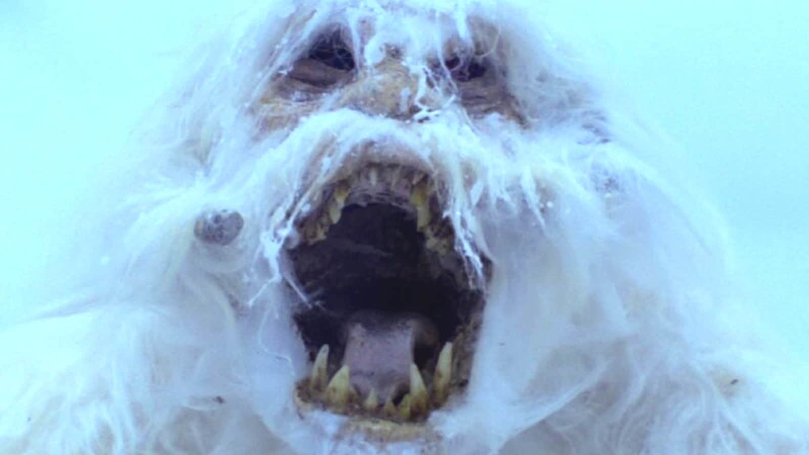 The Wampa In Star Wars Didn’t Die